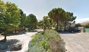 Photo de L'arbre de Lucas