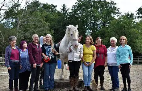 Horse Haven Uk