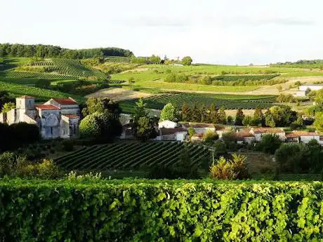 Photo de Cognac Tasting Tour