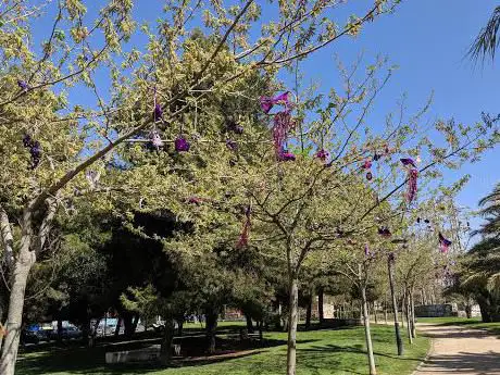 Photo de Vallejo Alberola Park