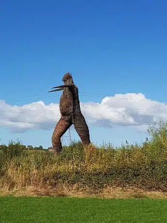 Willow Man