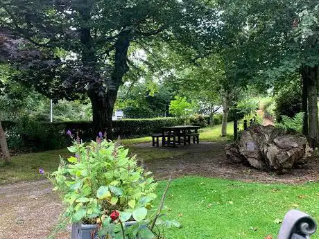 Millennium Garden - Gardd y Mileniwm