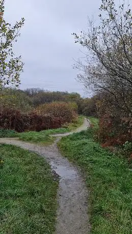Goss Moor Trail