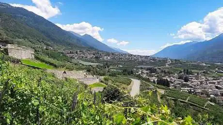 Photo de Strada del Vino della Valtellina