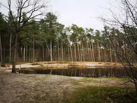 Photo de Natuurgebied Gerheserheide