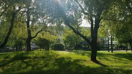 Heath Hospital Garden