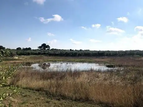 Photo de Lago di Agnano