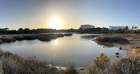 Photo de Laguna de La Algaida