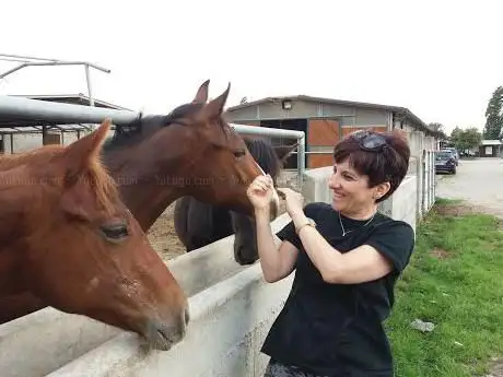 Ruffo Horses