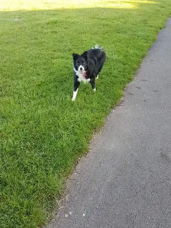 Victoria Park