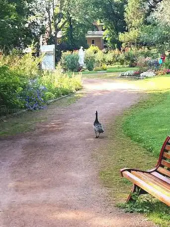 Public Garden