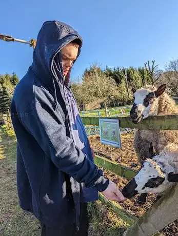 Spencer's Retreat Care Farm