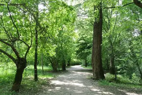 Photo de Ippovia valle del cormor