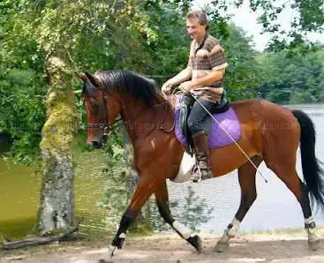 Photo de Centre Equestre de Malesse