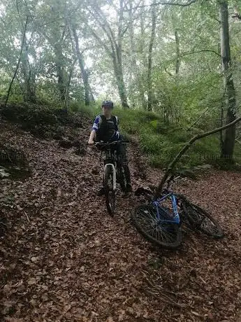 Llanerchaeron Riverside trail