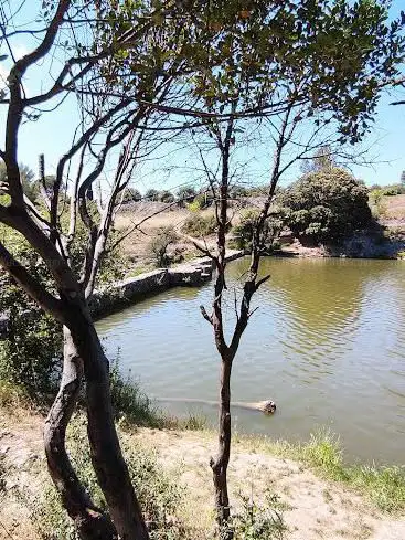 Photo de Lac de pêche avec barrage romain