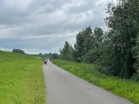 Kikvorstbos