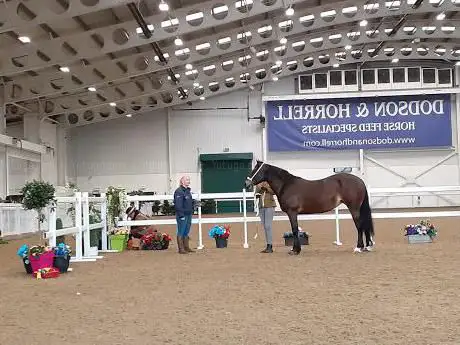 Aintree International Equestrian Centre