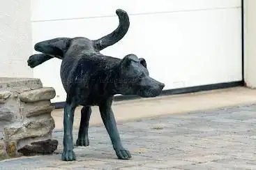 Sculpture 