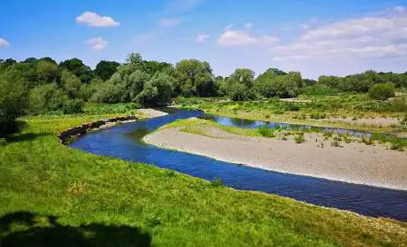 Dolydd Hafren Nature Reserve