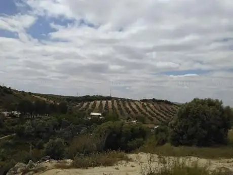 Photo de Circuito Motocross El Calvario