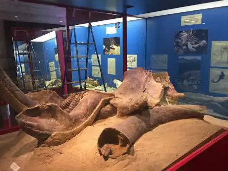 Photo de Malmerendi Museum of Natural Science