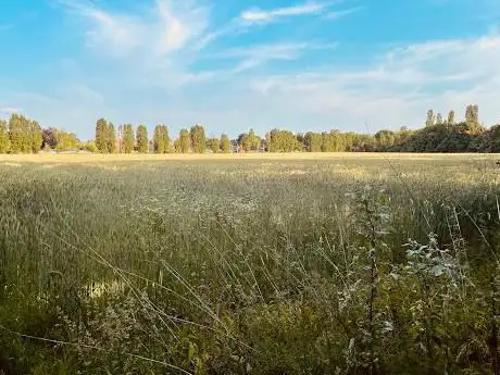 Photo de Edegemse beekvallei