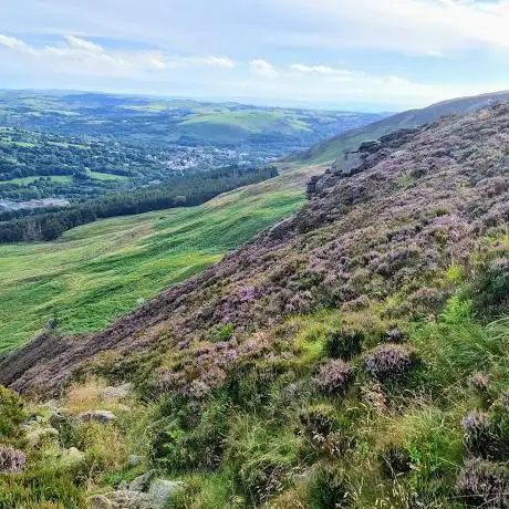 Saddleworth Moor