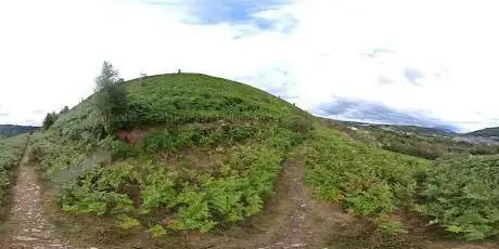 Llancaiach Branch