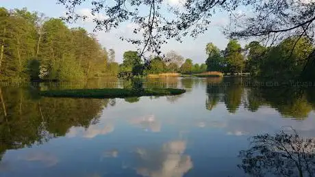 Photo de Priory Pond