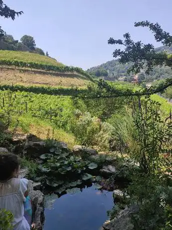 Serbatoio Montagnola