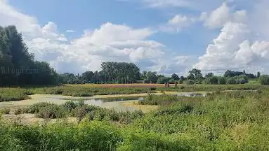 Paardenweide
