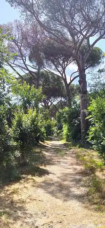 ÅšcieÅ¼ka spacerowa