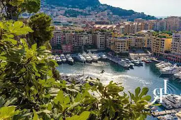 Port of Fontvieille viewpoint