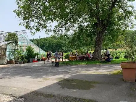 Gemeinschaftsgarten Grünhölzli