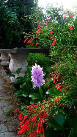 Photo de Parco I Fiori nel Cuore