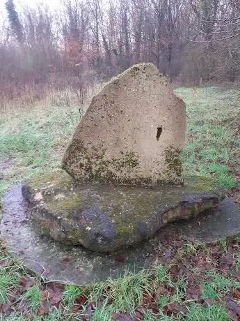 De Hautemsche steen
