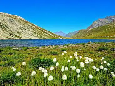 Laghi del Nivolet