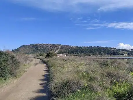 Molentargius Pond
