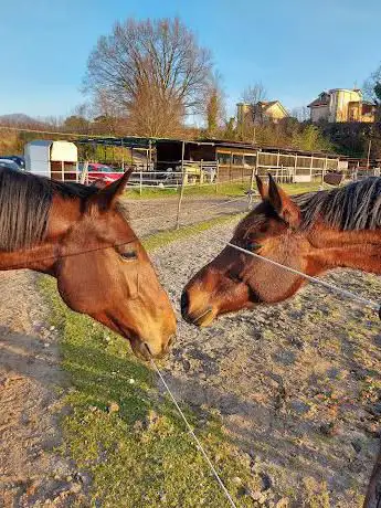 Photo de Il Cavallo e l'Uomo