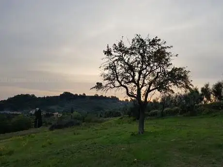 Photo de Greenway della Greve e del Vingone
