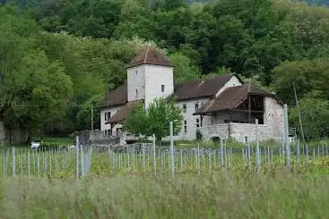 Château De Mecoras