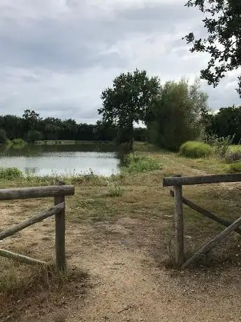 Photo de Parc des Arnaudières