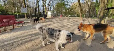 Photo de Area cani