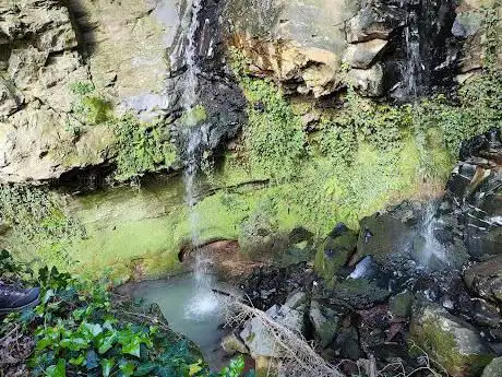 Photo de Cascata delle Corriole