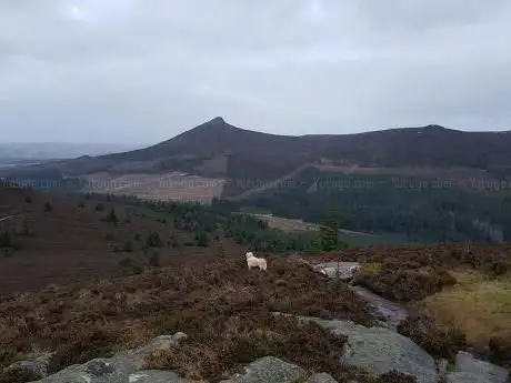 Photo de Millstone Hill