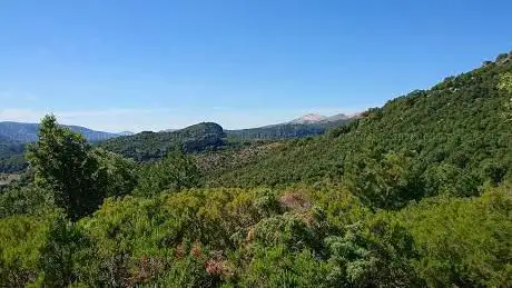 Foresta di Montes