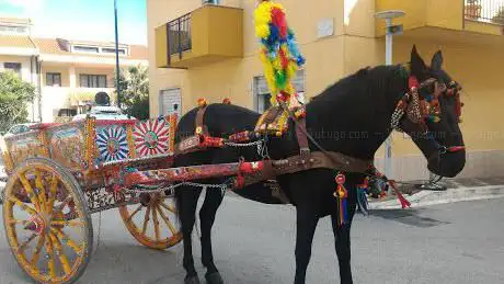 Photo de Paroisse de Santa Ninfa