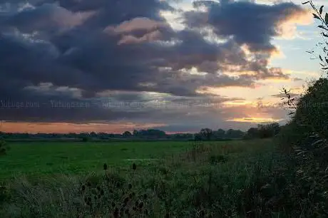 Photo de Hawk and Owl Trust Shapwick Moor Nature Reserve