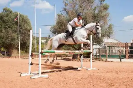 Country Riding Centre